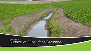 Surface vs Subsurface Drainage