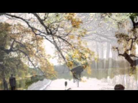 Mùa thu vàng - Minh Quân