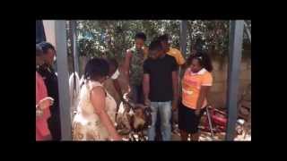 Amazing Grace International Children's Home receives a special christmas mbuzi delivery!