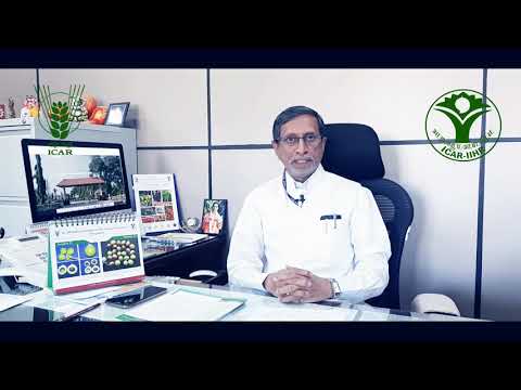 National Horticultural Fair-2020 (English)