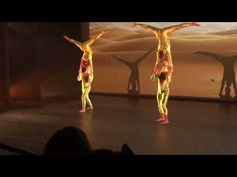 Asteria — Partner Acrobatics