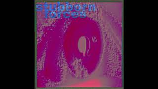 Stubborn Forces Music Video
