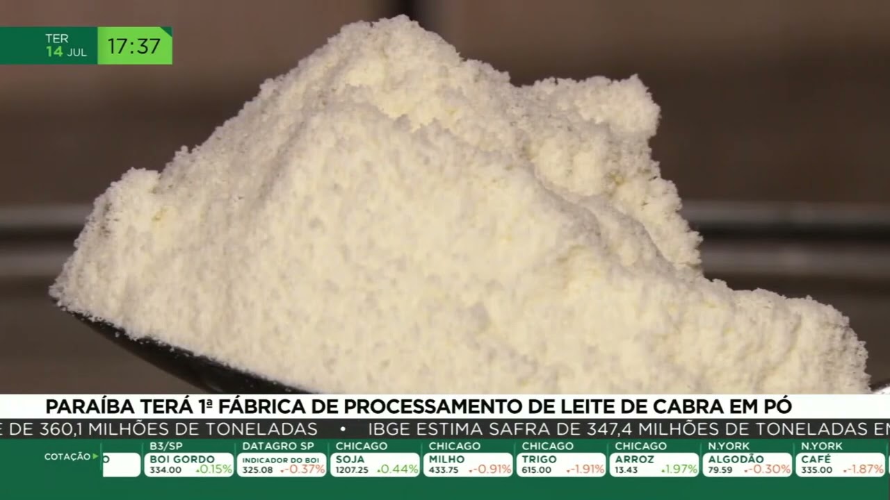 Paraíba terá 1ª fábrica de processamento de leite de cabra em pó