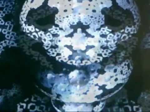 Civilian Zen - 'Transient Waves' (Official Music Video)   (2014)