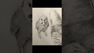 ブチ切れインコを描く #絵 #美術 #お絵描き