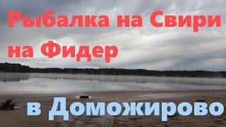 Как и где ловить леща в свири