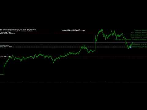 Video GridCatchCandleLimitOrderOneSymbol