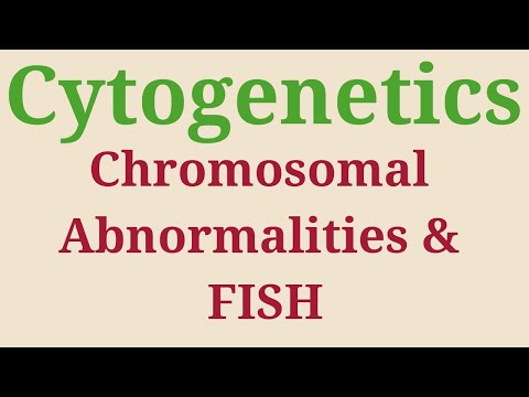 Cytogenetics UGC Part 3 | Chromosomal Abnormalities | Fluorescent In Situ Hybridization (FISH)