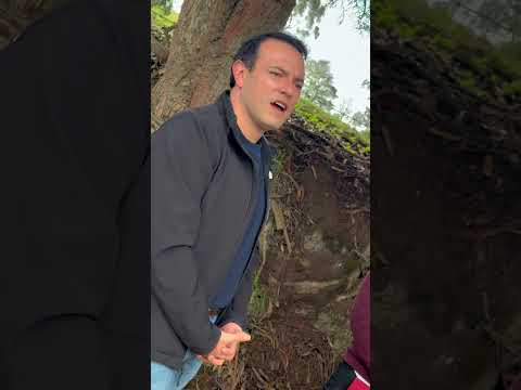 entrega de placa huella de 123 metros lineales que conecta las veredas El Hato y El Uval