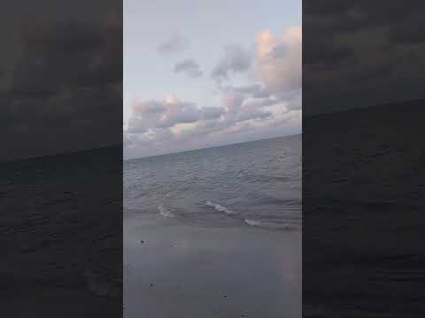 praia de Pontas de Pedra - Goiana PE