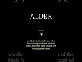 Alder #How to pronounce and meaning of the word #learnenglish #vocab #vocabulary #english #alder