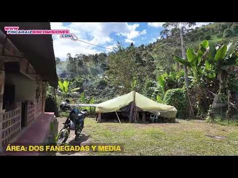 Finca Productiva de 2.5 Fanegadas en Vergara, Cundinamarca | Cultivos, Agua Natural y Casa Campestre