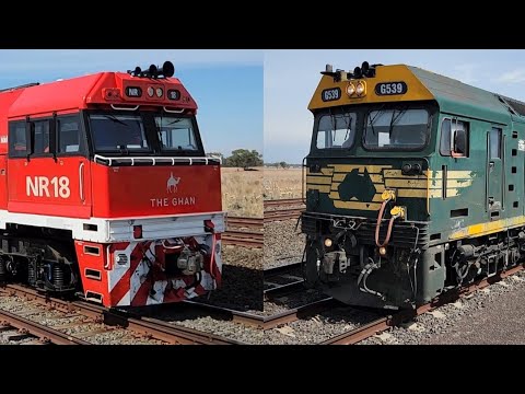 6MP4 Crossing 7902V At Manor Loop 14/03/25