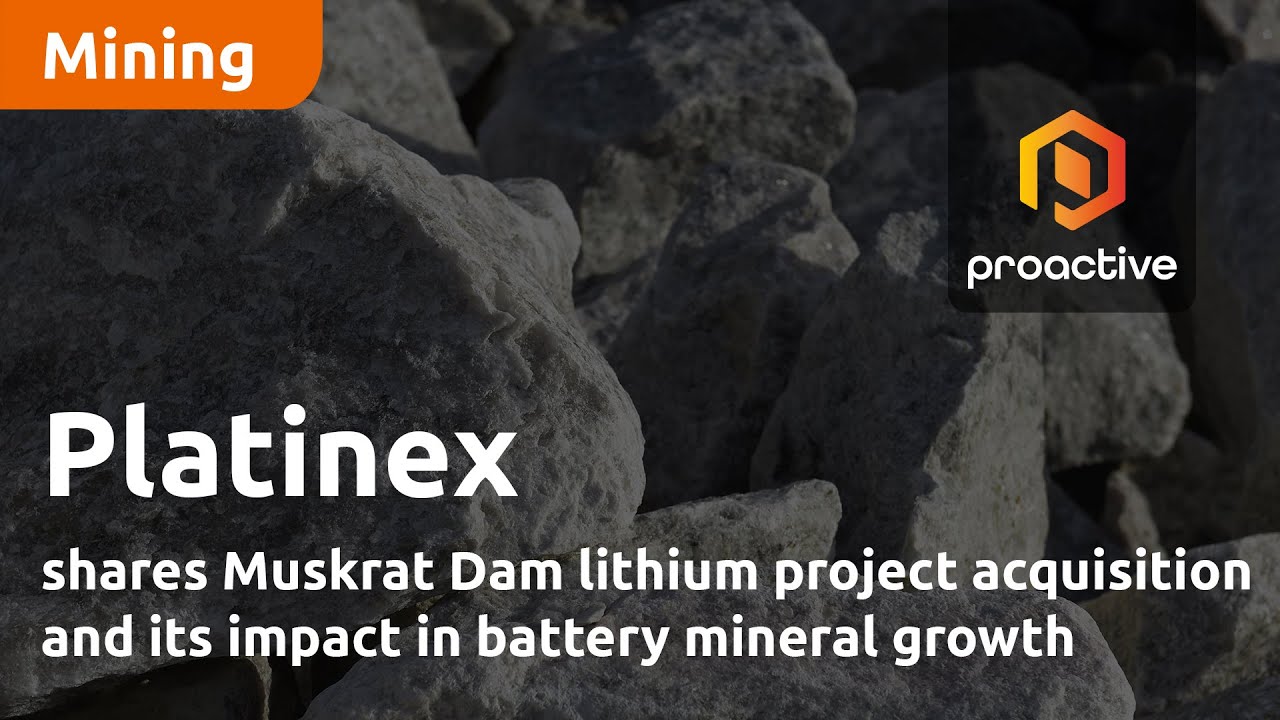 Platinex shares Muskrat Dam lithium project acquisition and its impact in battery mineral growth