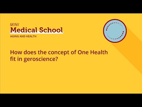How does the concept of One Health fit in geroscience?