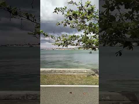 K of C Tagbilaran City Bohol #shortsvideo #beach #viral