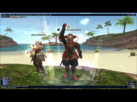 Final Fantasy XI: Red Mage Guide
