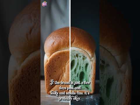 Is Expired Bread Still Safe to Eat?