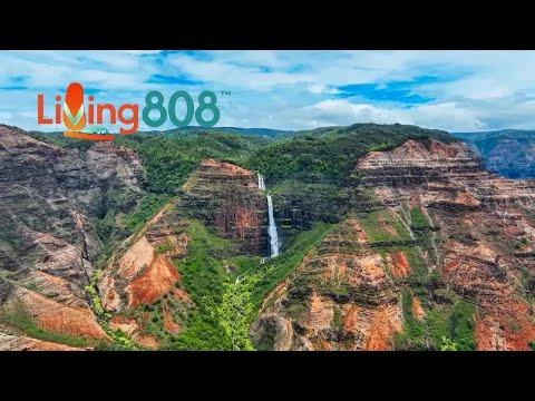 Pawloha celebrates five years of stylish, one-of-a-kind finds for pets and their people