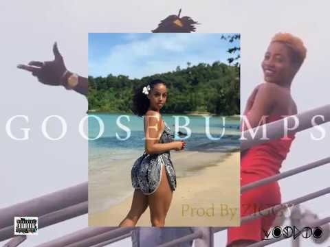 💖 Goosebumps-Free Instrumental 💖 With Hook -(Prod by Ziggy)