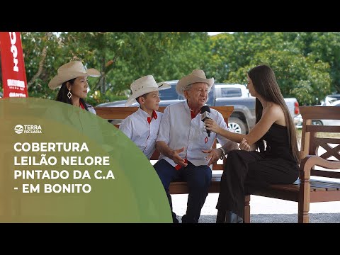 TERRA PECUÁRIA - COBERTURA LEILÃO NELORE PINTADO DA CA - EM BONITO