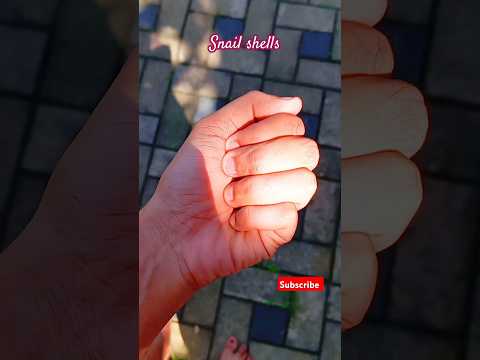 𝙎𝙪𝙗𝙨𝙘𝙧𝙞𝙗𝙚 ♾️🦋   @Pamithi.Sadeeka.vlogger#viral #shorts #adventure #natural #universe #aesthetic