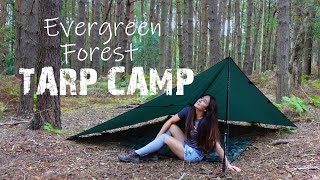 Stealthy Solo Tarp Camp in Evergreen Forest 🌲 Wild Camping UK