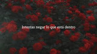 Benjamin Francis Leftwich - Kicking Roses [Subtitulos En Español]