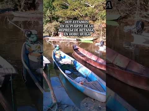 🎥🌊 HOY ESTAMOS EN EL PUERTO DE LA REPRESA DE BETANIA, EN HOBO, HUILA 🌊🎣