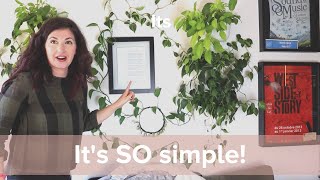 How to Train a Houseplant to Climb a Wall! (It