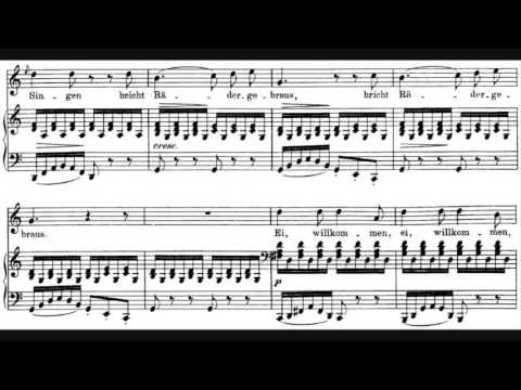 Franz Schubert - Die Schöne Müllerin