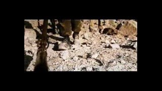 Сектор Газа - Туман - 9 рота