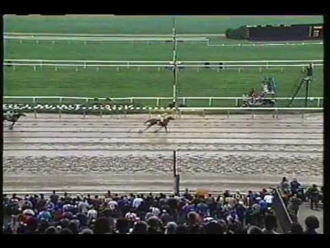 1993 Grade 1 Matron at Belmont Park: Strategic Maneuver