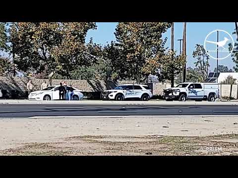 11/17/22 ....Viewer Discretion!!