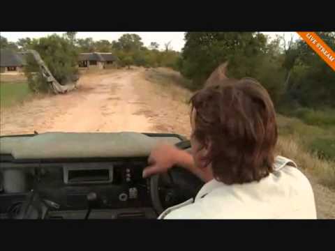 PM Safari Drive at Djuma Game Reserve on March 22, 2015