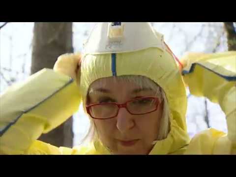 Hanta virus: How to get infected | BR24