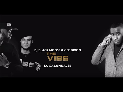 The VIBE Movement - Black Moose ft Gee Dixon #Lokal