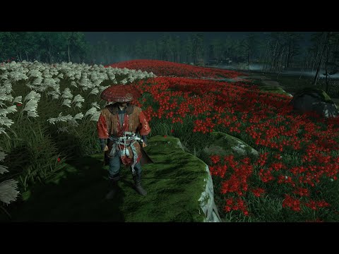 Zagrajmy w Ghost of Tsushima PS5 4K HDR - Odcinek 15