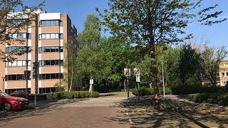 Nature of amselveen