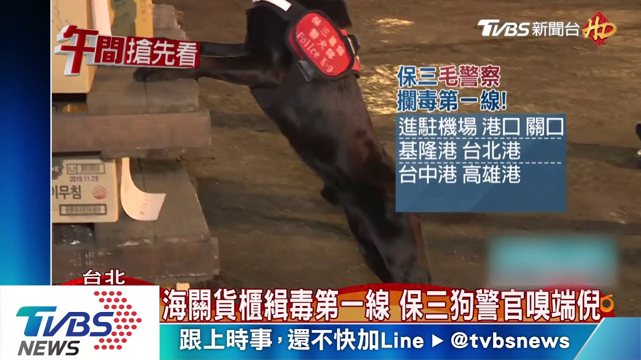 海關貨櫃緝毒第一線 保三狗警官嗅端倪