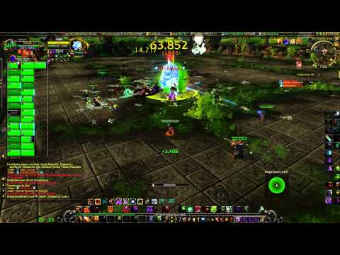 World of Warcraft: Xuen - Celestial Boss