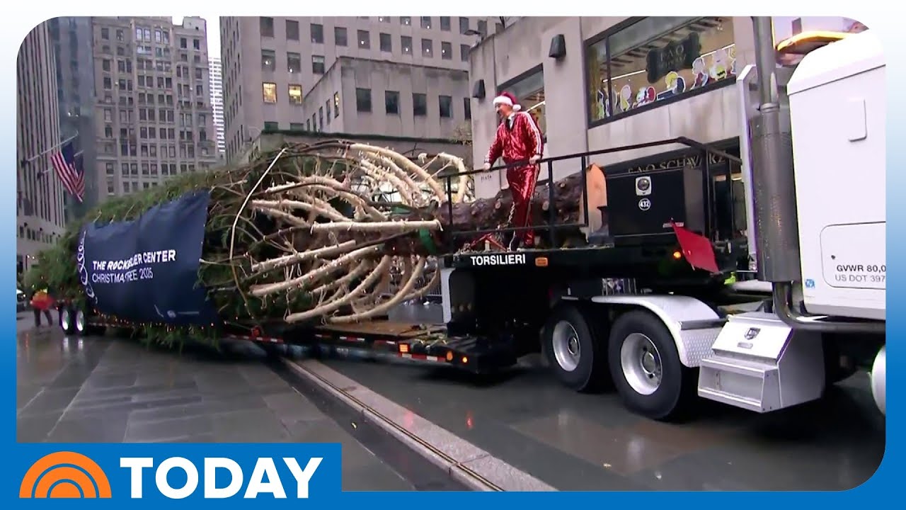 See the 2025 Rockefeller Center Christmas Tree Arrive in NYC - YouTube
