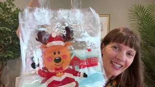 24 Pack of Clear PVC Christmas Gift Bags | Full Demo Review