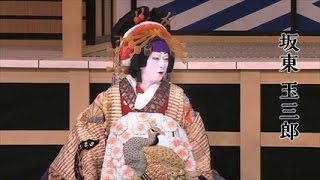 歌舞伎『阿古シネマ屋』予告編