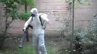 Ankara Haşere Böcek İlaçlama İnsecta Habitat Bortubocekavcıları