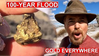 Massive Flood Exposed GOLD Nuggets Everywhere! 2026