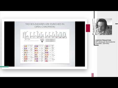 J. Vaquerizas, "Chromatin Conformation in Development and Disease"