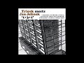 Triosk Jan Jelinek 1 3 1 2003 Full Album