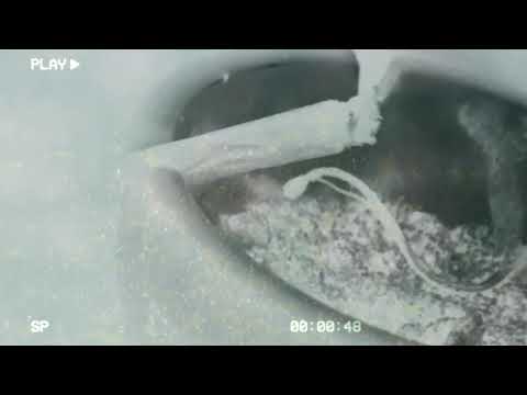 Y-Bash - SMOKE BREAK (Official Visualizer)