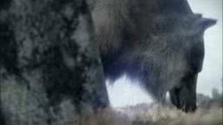 Final Fantasy, Prong&#39;s &quot;Close The Door (On You)&quot; AMV